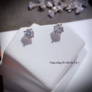 Bông tai nụ đá vàng trắng 5li