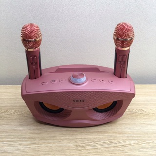 Loa kéo karaoke Bluetooth SD 306 SD301