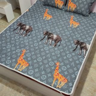 Chiếu điều hòa cotton đũi cao cấp