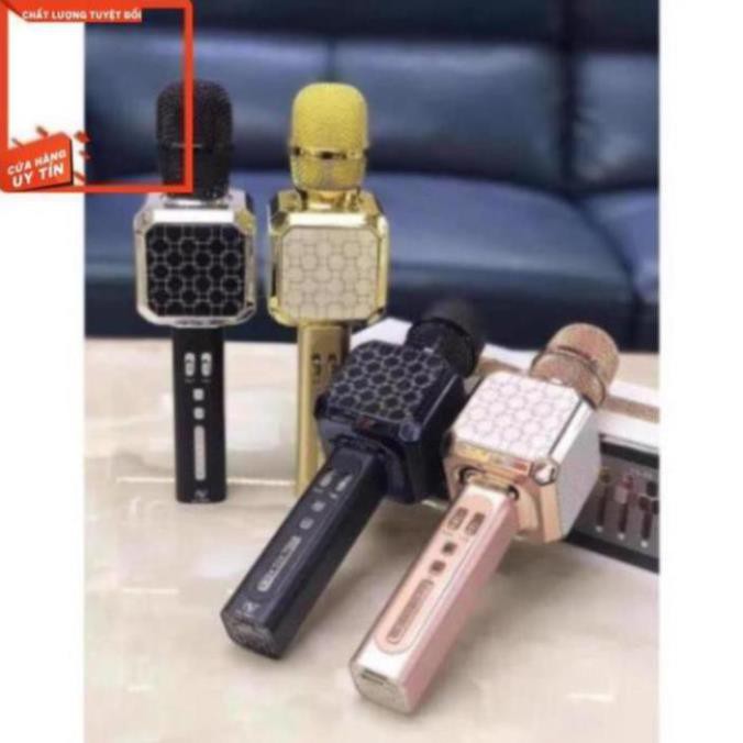MIC KARAOKE YS-05