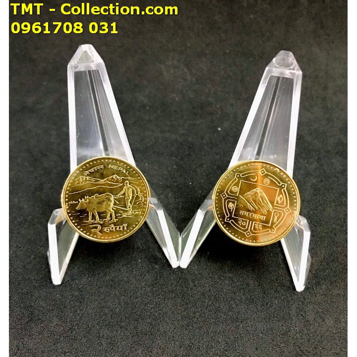 Xu con trâu nepal tặng kèm túi gấm; Màu vàng, Đường kính đồng xu là 2.5cm -TMT Collection SP005080