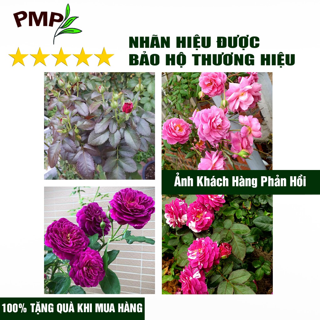 [Mã BMLT35 giảm đến 35K] Phân tan chậm vi sinh siêu lân PMP bón cho hoa, cây cảnh, rau sạch dạng viên nén 1-2kg