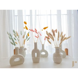 Set Bình Trắng nhỏ + cỏ đuôi thỏ