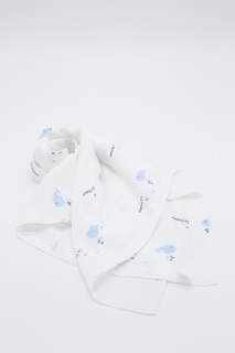 Sét 5 khăn sữa sợi tre lụa La Pomme (30x30)