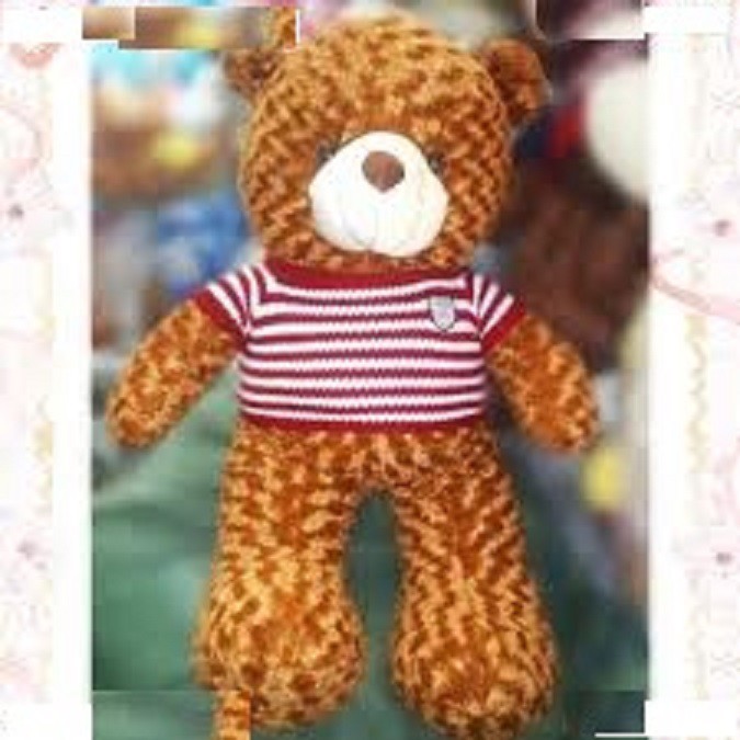 thú bông teddy 40cm