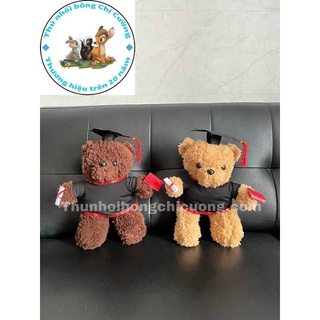 Gấu cử nhân - Gấu tú tài lông nhập cao cấp