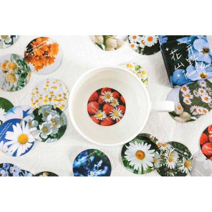 Bộ 45 Sticker Hàn Quốc Các Loài Hoa dán trang trí E93