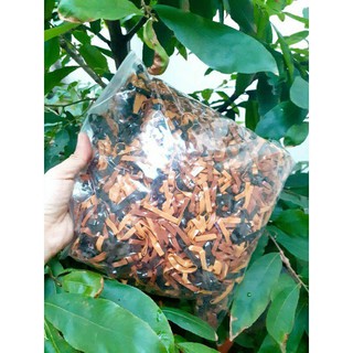 Sỉ 1kg thun cột tóc màu nâu,cafe (bản to 0.4×3cm)