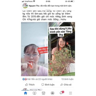 YẾN SÀO HỒNG SÂM (LOẠI TO 40 ỐNG)