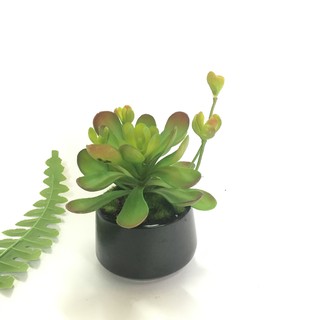 Chậu sen đá giả hoa lớn t005- cây giả