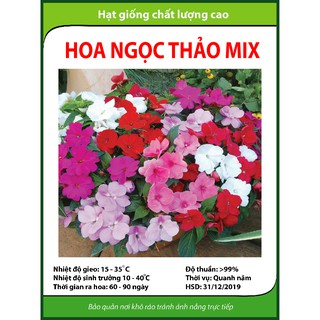 Hạt giống hoa Ngọc thảo
