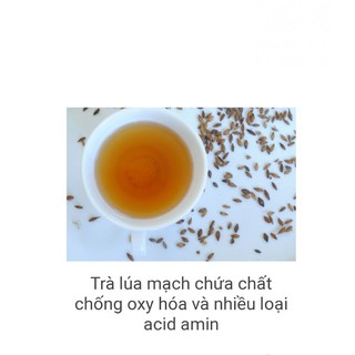 Trà lúa mạch nhật 52 túi lọc date 11/2022