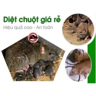 LỌ XỊT ĐUỔI CHUỘT SIÊU HIỆU QUẢ