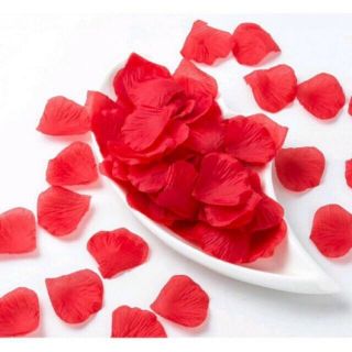 100 cánh hoa hồng giả