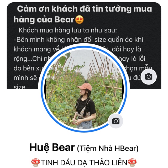 bear foodfly