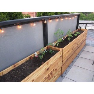 Chậu gỗ trồng cây QUEENBOX  KT 100*25*35 I Decor, tiểu cảnh ban công, chung cư