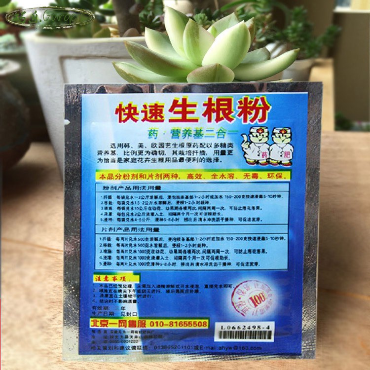 Thuốc kích rễ và kích nảy mầm giúp hạt giống nhanh nảy mầm và ra rễ