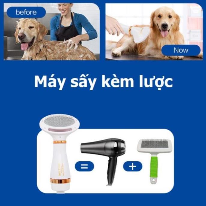 Orgo- Máy sấy lông chó mèo kèm lược dùng cho thú cưng nhỏ PH820