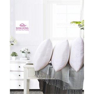 Ruột gối đơn 45cm x 65cm sông hồng