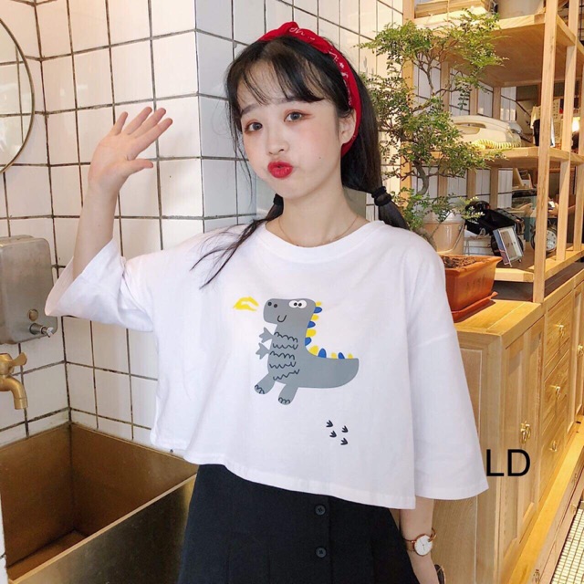 Áo crt khủng long (LD)