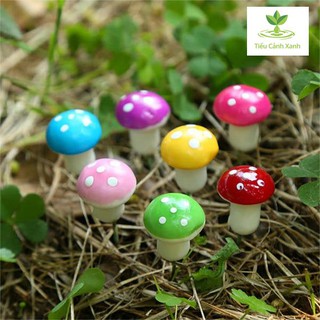 Bộ 5 Nấm ngũ sắc trang trí - tiểu cảnh