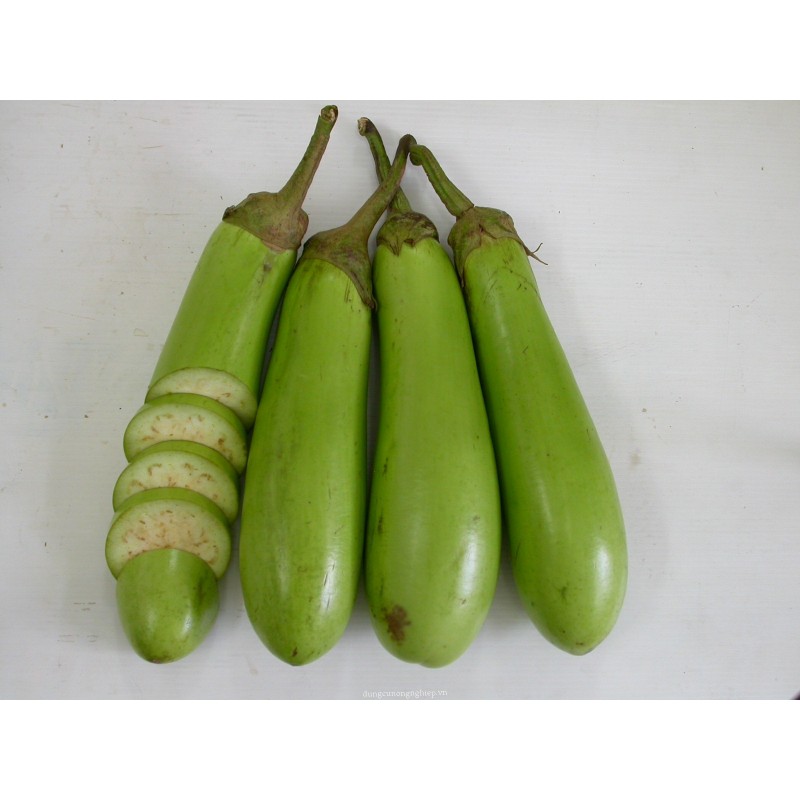 HẠT GIỐNG CÀ XANH MỠ TRÁI DÀI 1GR