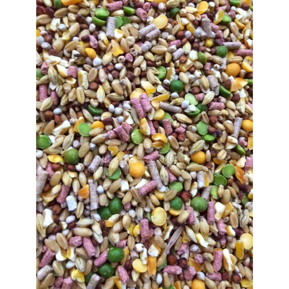 Ngũ cốc dinh dưỡng dành cho gà tơ, gà đá  - Thuốc Chiến Kê.