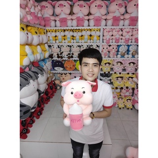 Heo Ôm Bình Sữa Gấu Bông Cần Thơ