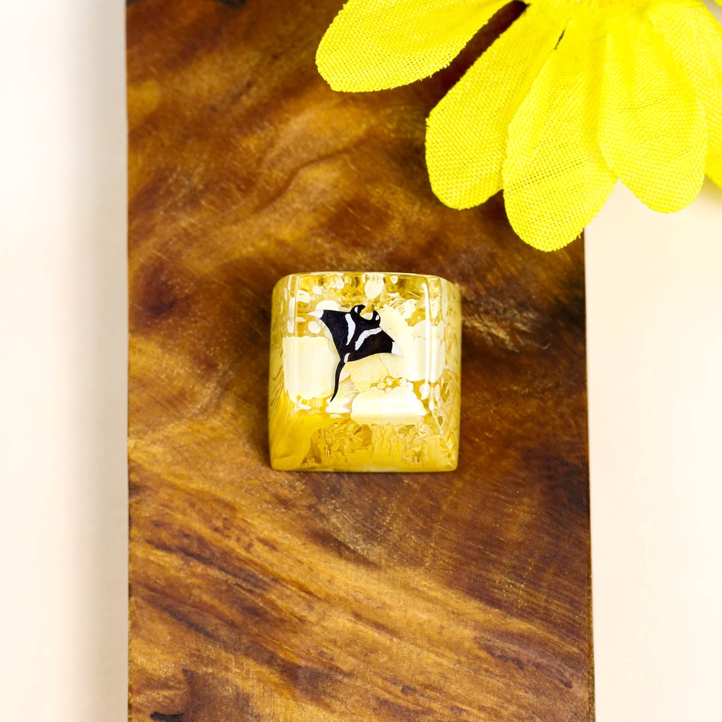 Nút bàn phím cơ cá đuối, keycap lẻ giá rẻ SA profile