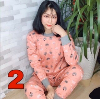 Bộ nỉ băng lông
