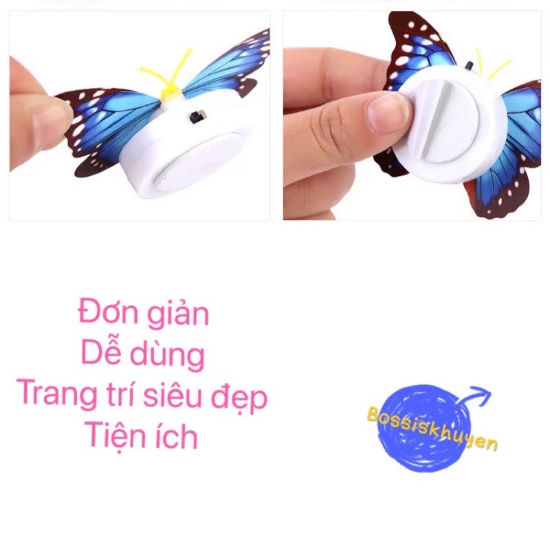 Đèn led trang trí, đèn light deco nhà cửa, chụp hình, trang trí hộp quà