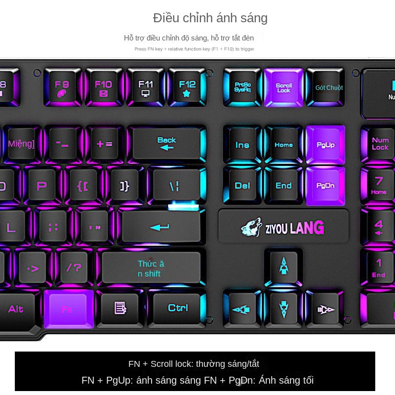 Bộ bàn phím chuột Gaming Latope chuột bàn phím máy tính giả cơ không dây Full Led T3