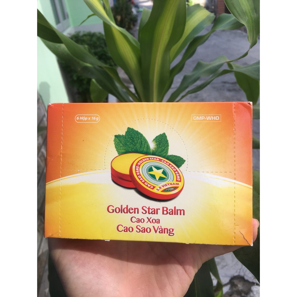 Cao sao vàng 16g - Golden Star Balm quà tặng cho ông bà, bạn bè - Nguyên hộp 6 lọ nhỏ