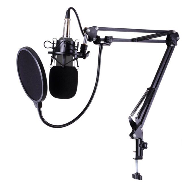 Màng lọc âm 2 lớp Pop Filter WS-04