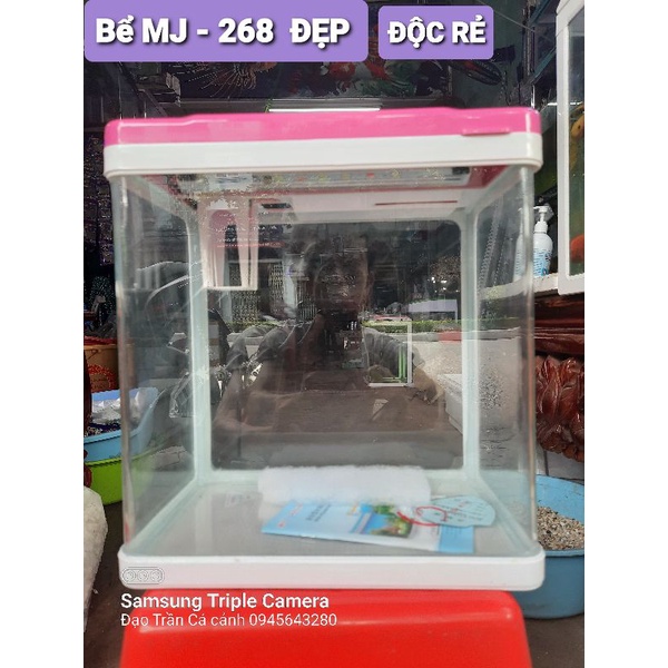 Bể đúc MJ - 260  &  MJ -268