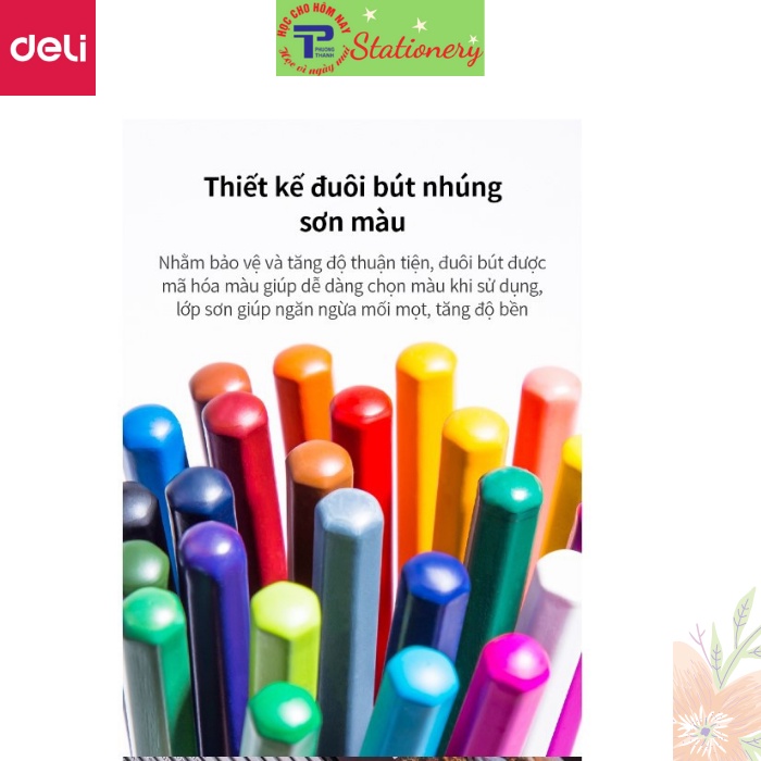 Bút chì màu nước cao cấp Deli - Có kèm cọ tán - Bộ 24 màu - 6521