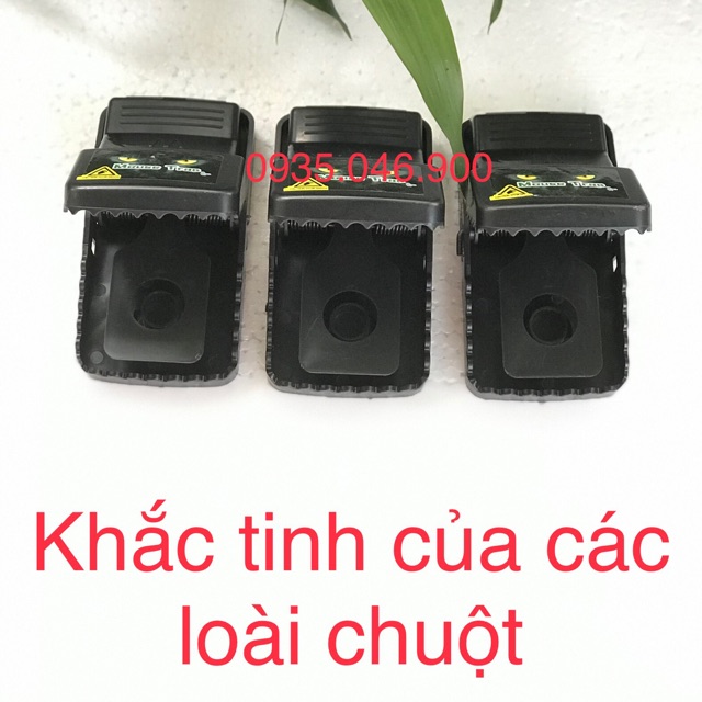 Bẫy Chuột Thông Minh