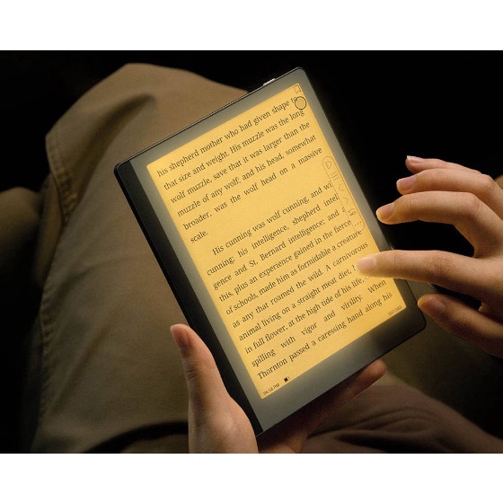 Máy đọc sách Boox Leaf