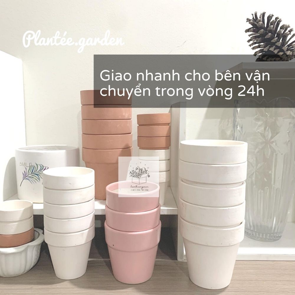 Chậu đất nung giá rẻ trồng Sen đá Xương rồng - Size 4x6 cm - Cây cảnh - Tiệm Thường Xuân