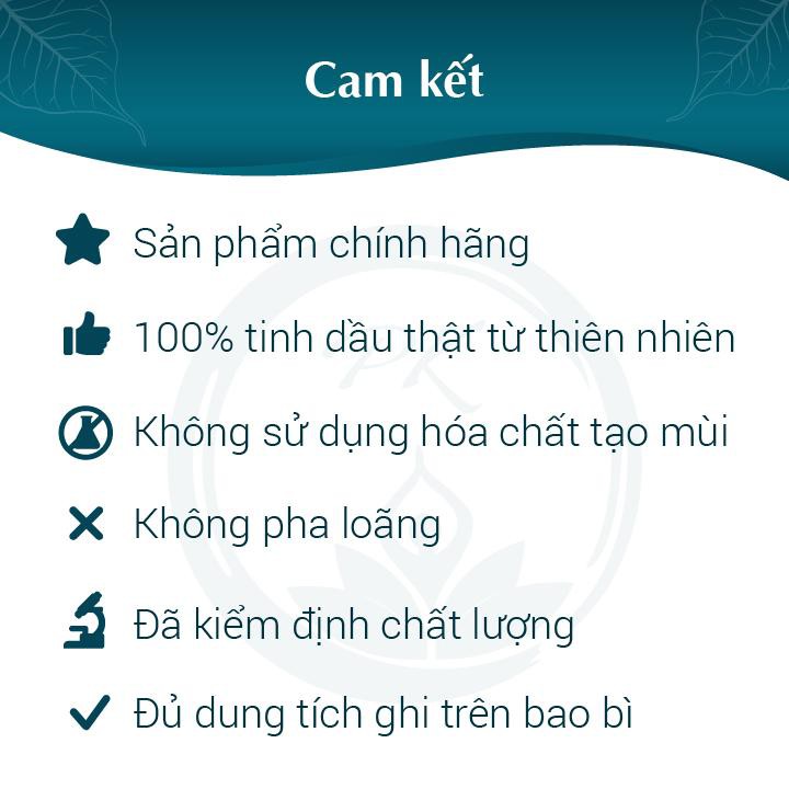 Lọ treo ô tô tinh dầu cao cấp PK 7ML - Hương Sả chanh/ Bạc hà/ Cam ngọt/ Tràm trà/ Oải hương - Khử mùi hiệu quả