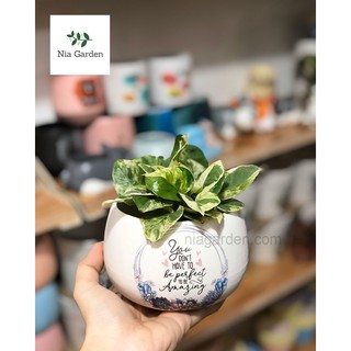 Chậu gốm sứ hạt dẻ nhỏ in hình - N2