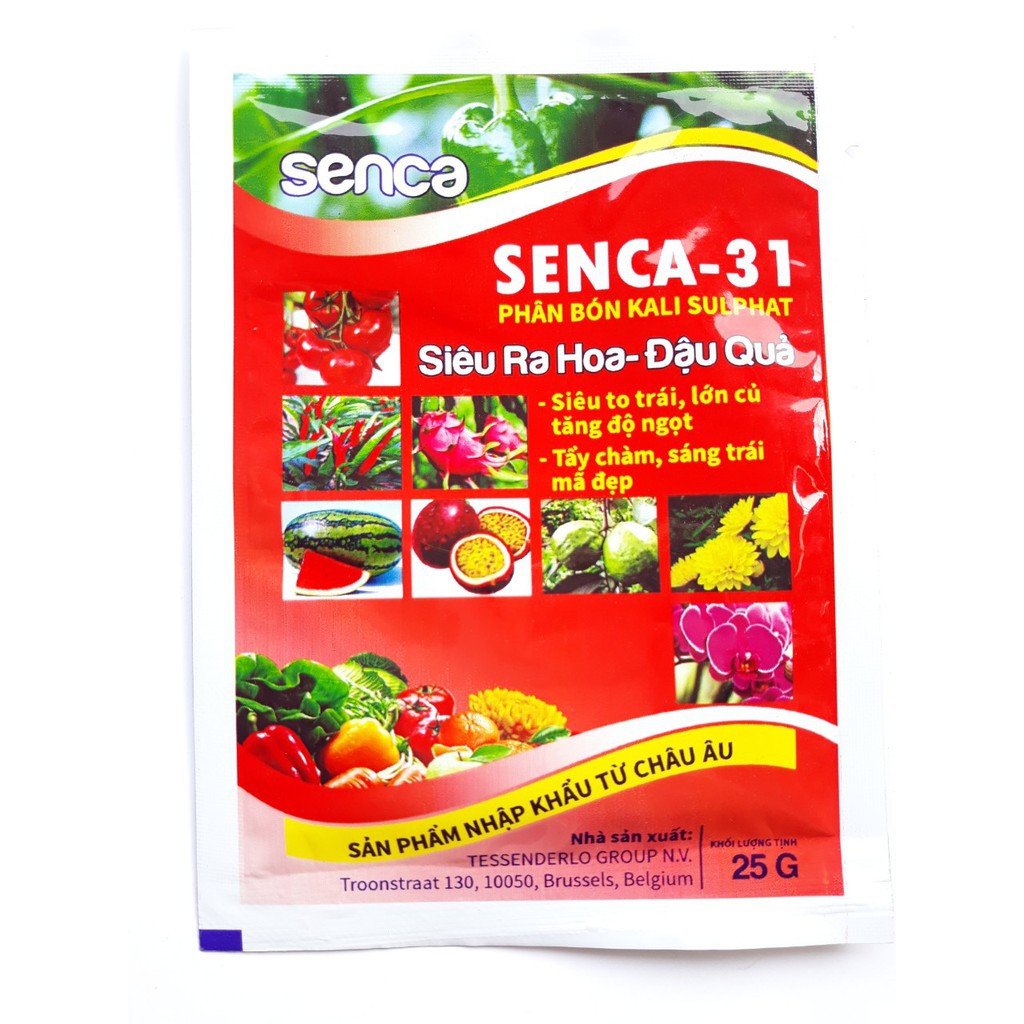 phân bón kali sulphat SENCA-31 (25g)  siêu ra hoa - đậu quả siêu to trái, lớn củ, tăng độ ngọt.Tẩy chàm,sáng trái,mã đẹp