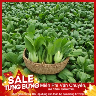 Hạt Giống Cải Chít - 100 Hạt