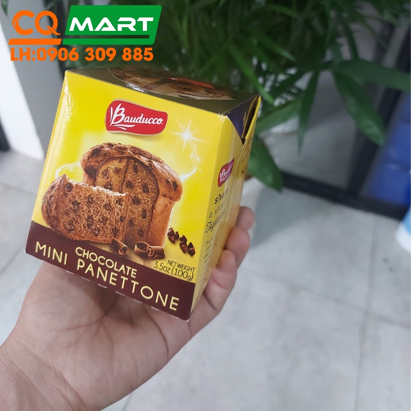 Bánh Bông Lan Panettone Socola Bauducco 100g