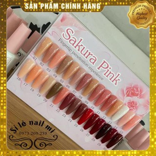 Sơn gel bobo 30 màu từ 21-30