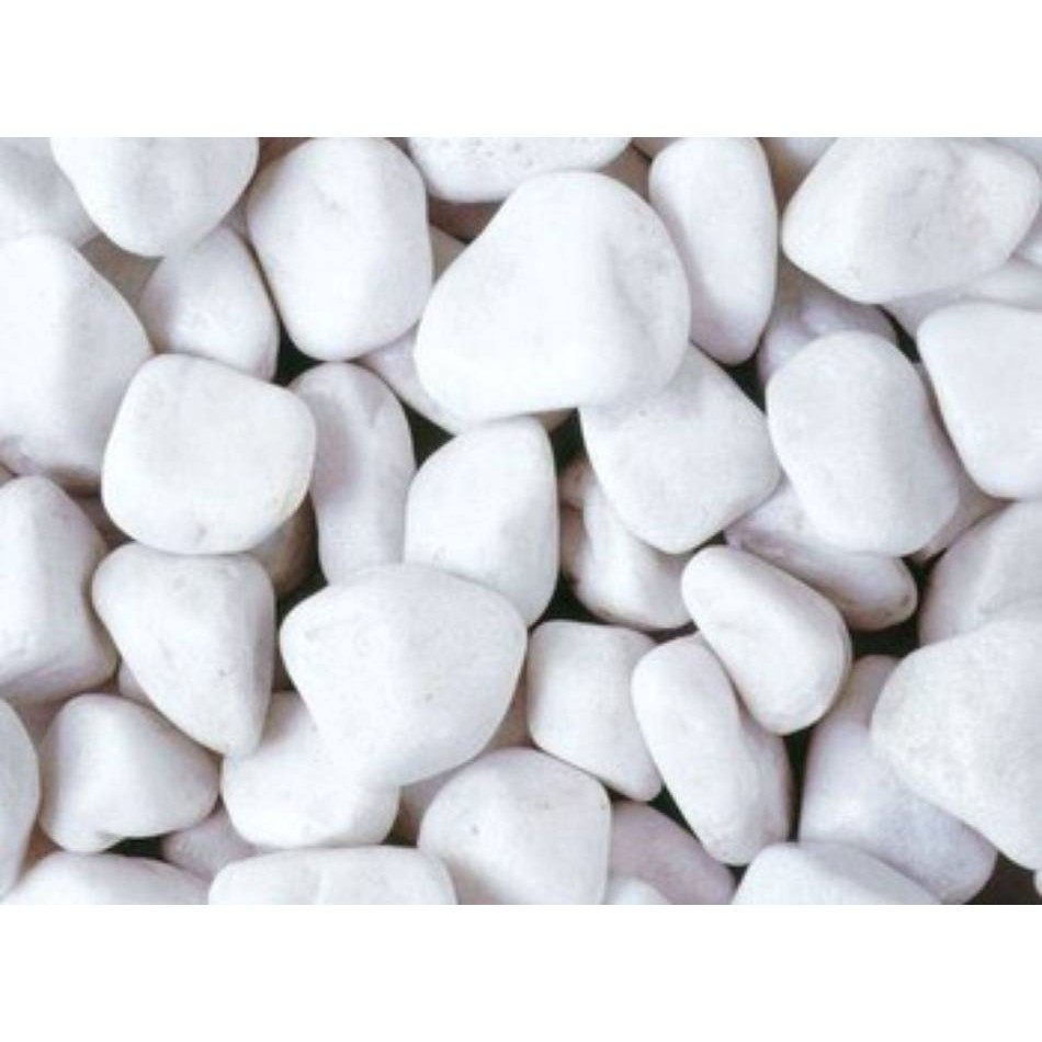 Đá sỏi to màu trắng bịch 500gr