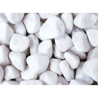 Đá sỏi to màu trắng bịch 500gr