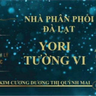 SON TRI ÂN