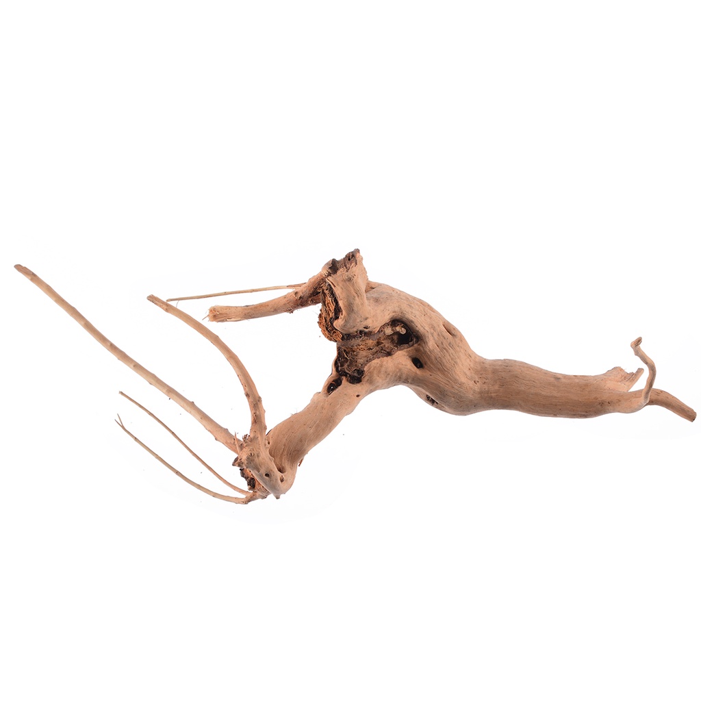 Đồ Trang Trí Hồ Cá Hình Thân Cây Gỗ ☆Bjfranchisesky