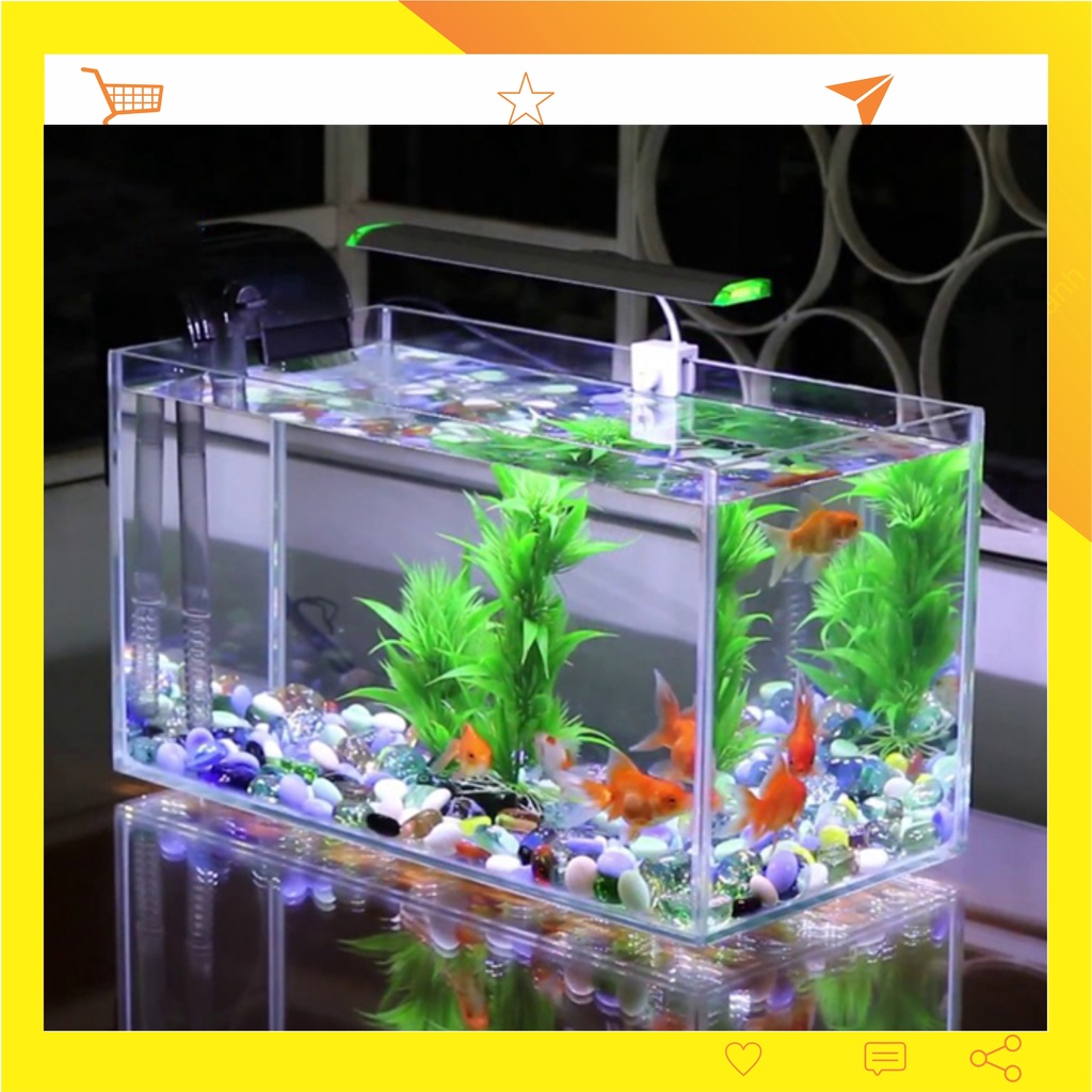 Bể cá mini thủy sinh chất liệu mica để bàn dài 24/ cao14/ sâu 12cm